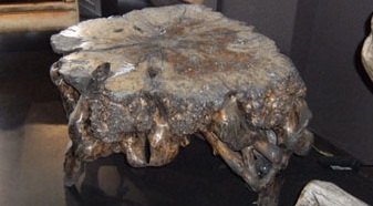 63854_tafel_boom_1.jpg