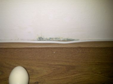 64089_IMG2011072500066_1.jpg