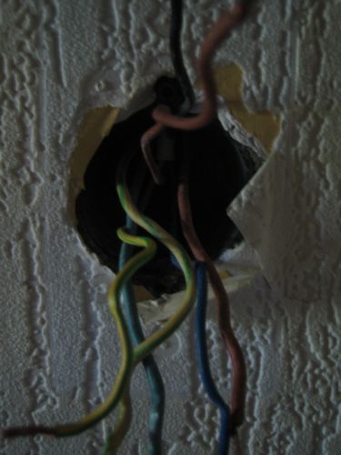 64648_IMG_2349_2.jpg