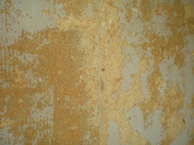 66347_wand2_2.jpg