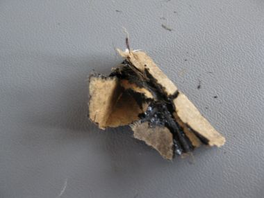 66362_folie_2_1.jpg