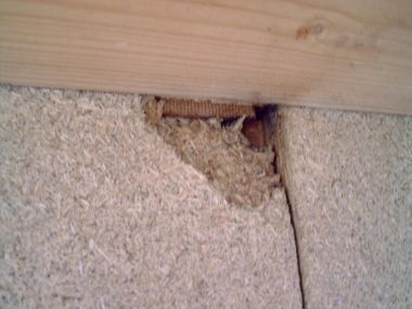 67281_dakbeschot3_1.jpg