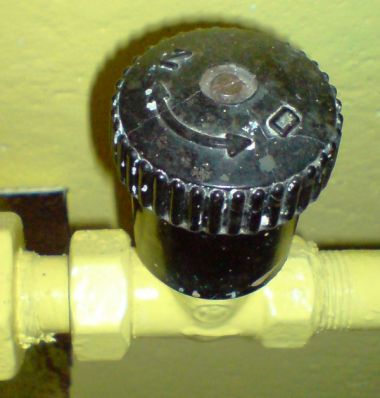 71733_59_1257164661_1.jpg