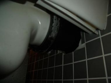 73051_Toilet_004_1.jpg