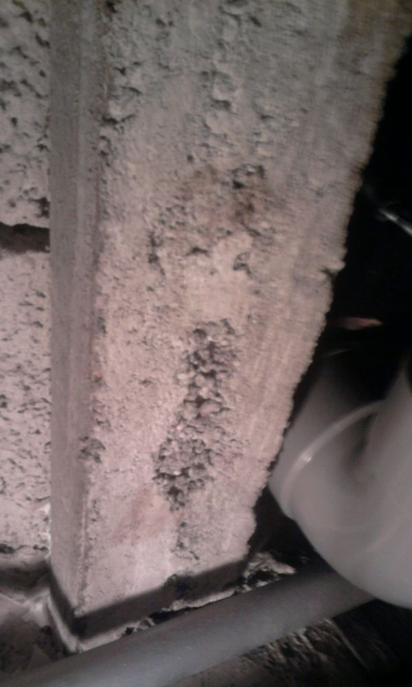 74516_Foto1716_1.jpg