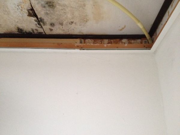 74561_foto_2_1.jpg