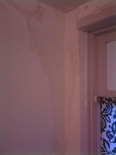 76672_Foto0208_1.jpg