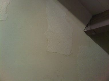77081_IMG2010111700013_1.jpg