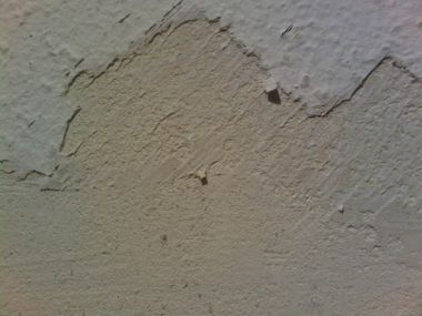 77081_IMG2010111700016_1.jpg