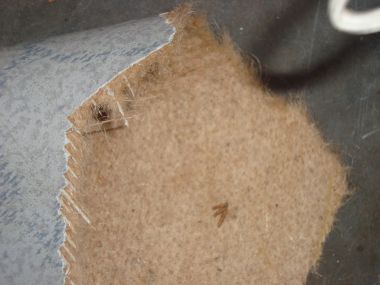 77284_DSC02940kopie_1.jpg