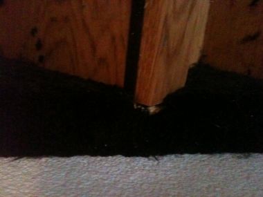 7776_vloerbedekking_trap_10032011__1.jpg