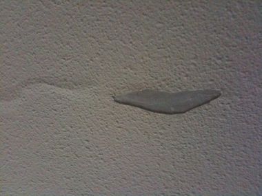 79125_IMG_0190_1.jpg