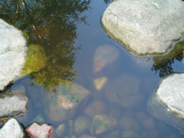 81182_P7021605_1.jpg