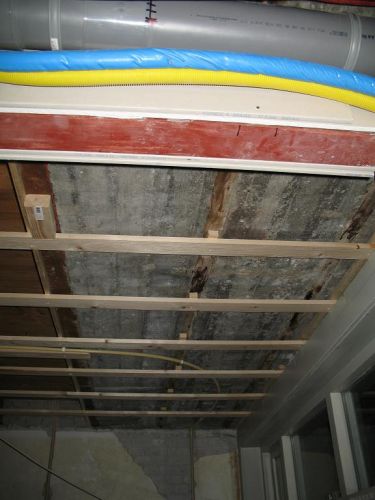 81800_IMG_0762_klein_1.jpg