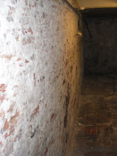 81905_muur_2.jpg