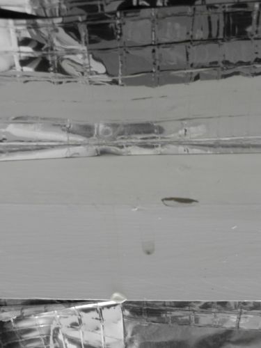 82031_Closeup_1.jpg
