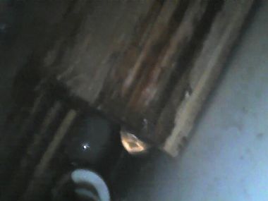 83205_Foto2_2_1.jpg