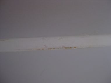 83288_IMG_1081_1.jpg