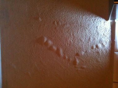87587_image_1_2.jpg