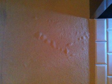 87587_image_2.jpg