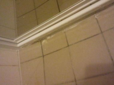 89731_20110305_120126_1.jpg