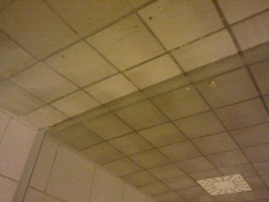 89731_20110305_120139_1.jpg