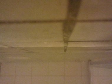 89731_20110305_120145_1.jpg