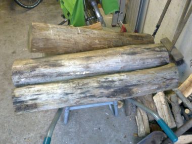 89_13032010007_1.jpg