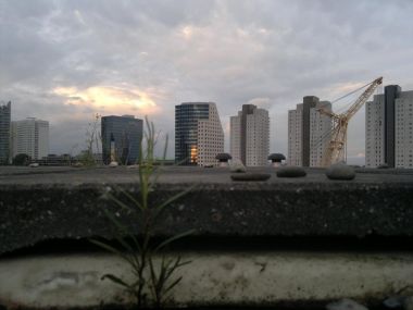 89_5dla87_1.jpg