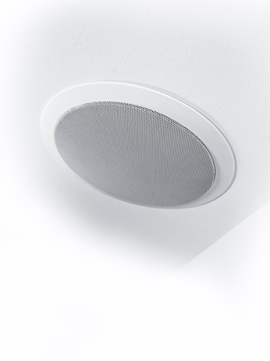 89_CANON_inceiling_650_med_1.jpg