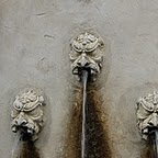 89_DSC_1345_1.jpg