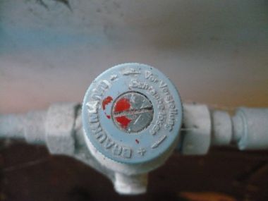 89_P1020982_1.jpg