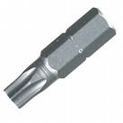 89_Torx_1.jpg