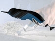 89_boschGSE300E_1.jpg