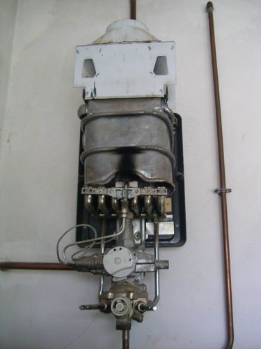 89_geiser1full_1.jpg