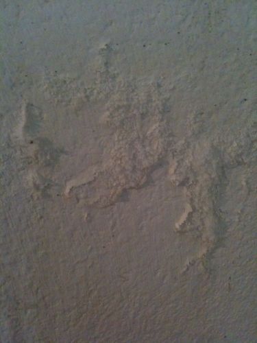 89_photo_2.jpg