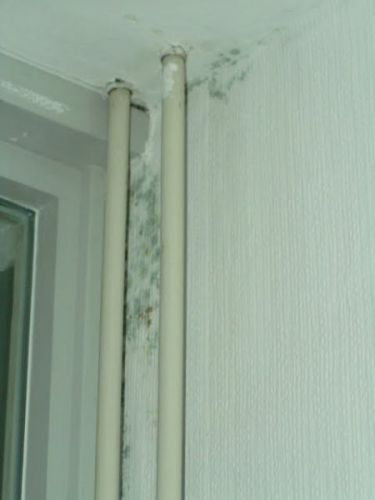 89_vochtbuitenmuurPICT8347_1.jpg