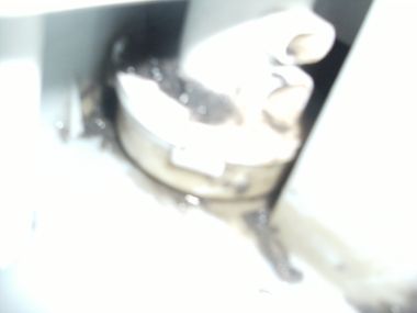 90013_DSCF3007_1.jpg
