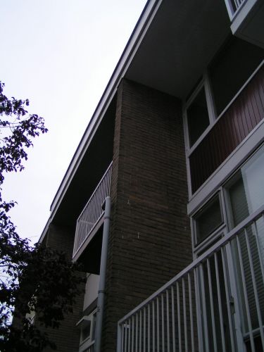 9017_PICT0011_1.jpg