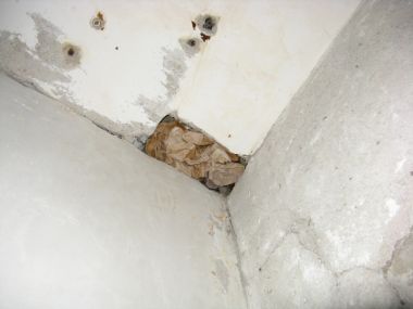 90335_IMG_0306_1.jpg