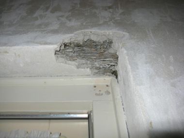 90335_IMG_0308_1.jpg