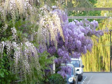 90865_aprilmei_2011_3_1.jpg
