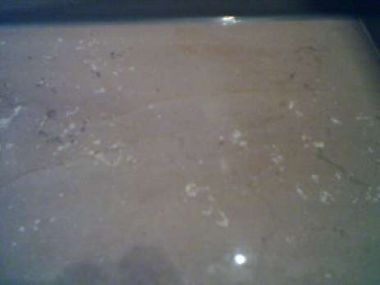 91123_IMAGE_00239_1.jpg