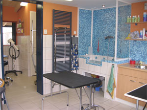 91984_trimsalon_05_2.jpg