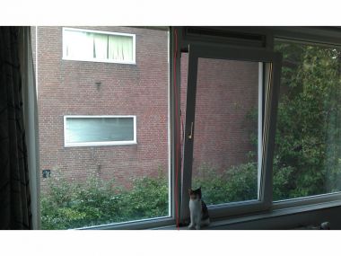 92525_foto1_1.jpg
