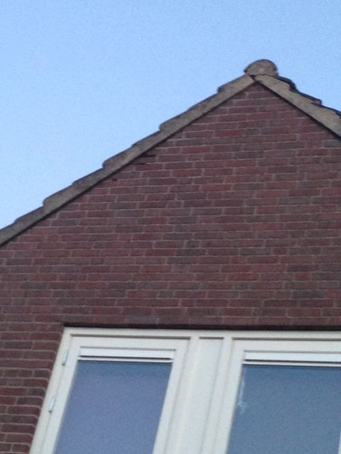 92740_foto100_2.jpg