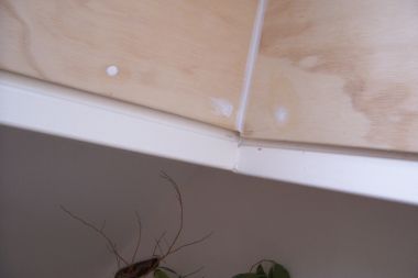 93241_Picture_1326_1.jpg