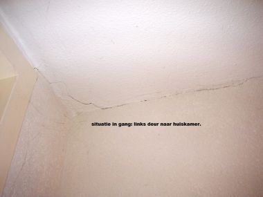 93555_4_1.jpg