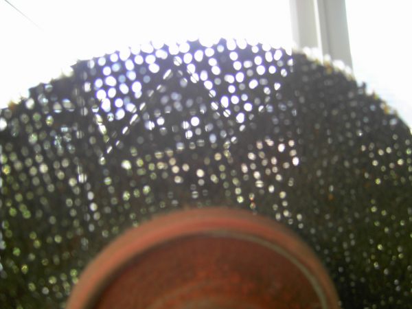 93809_PICT0836_1.jpg