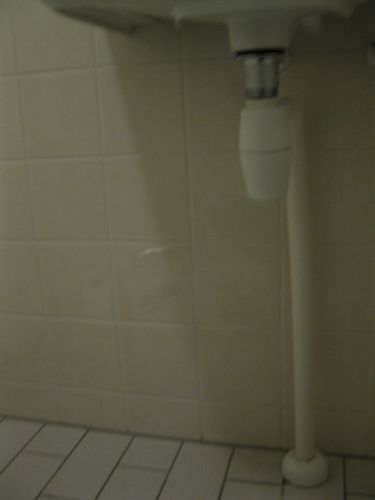 93938_IMG_0917_480x640_1.jpg